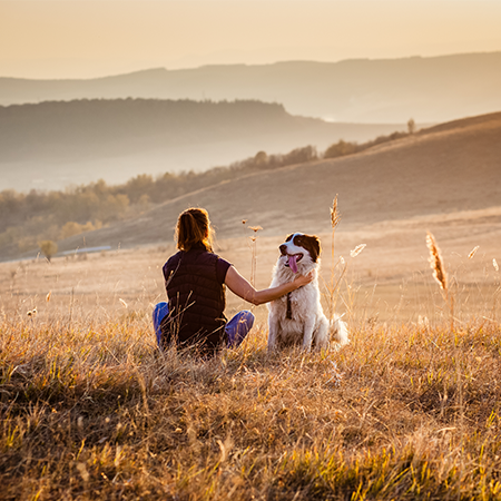 Top dog clearance walks near me